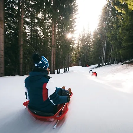 Confortable 2 Pieces, Skis Aux Pieds, 2 Ch, 4 Pers, Non-fumeur - Fr-1-182a-16 * Courchevel